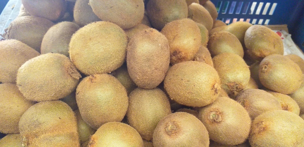 Kiwi