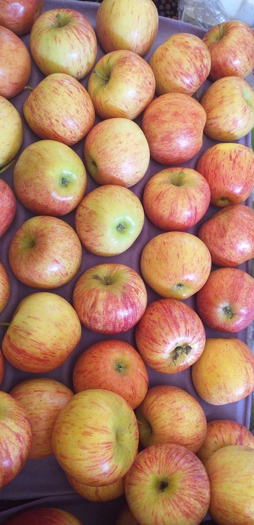 Manzana roja delgada