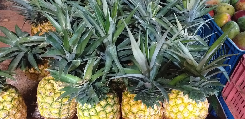Piña oromiel