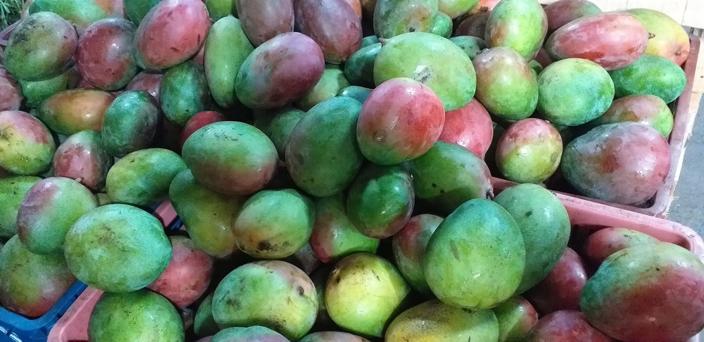 Mango farchi