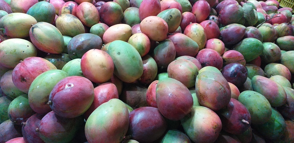 Mango farchi