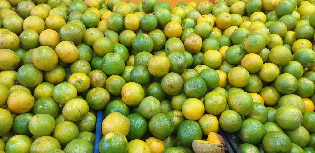 Naranja valencia