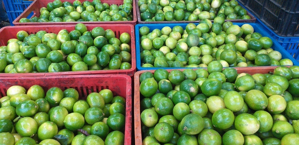 Limon tahiti