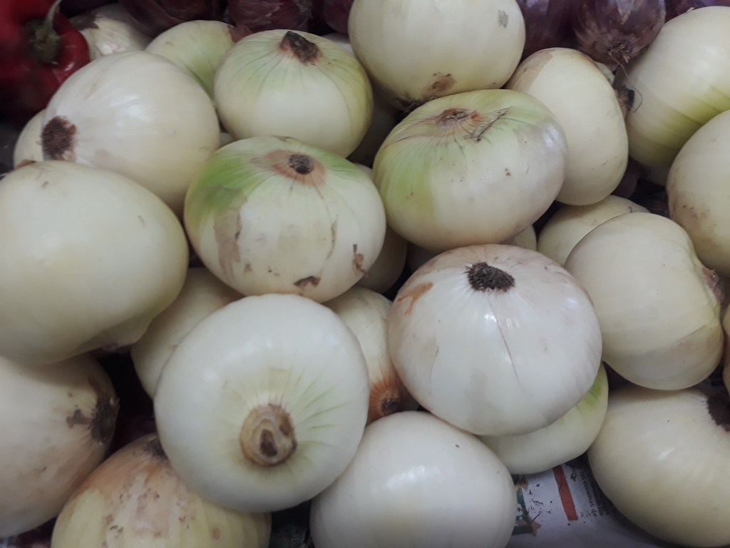 Cebolla blanca