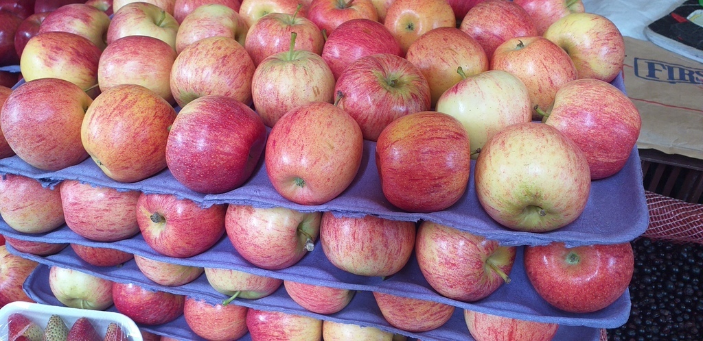 Manzana roja delgada
