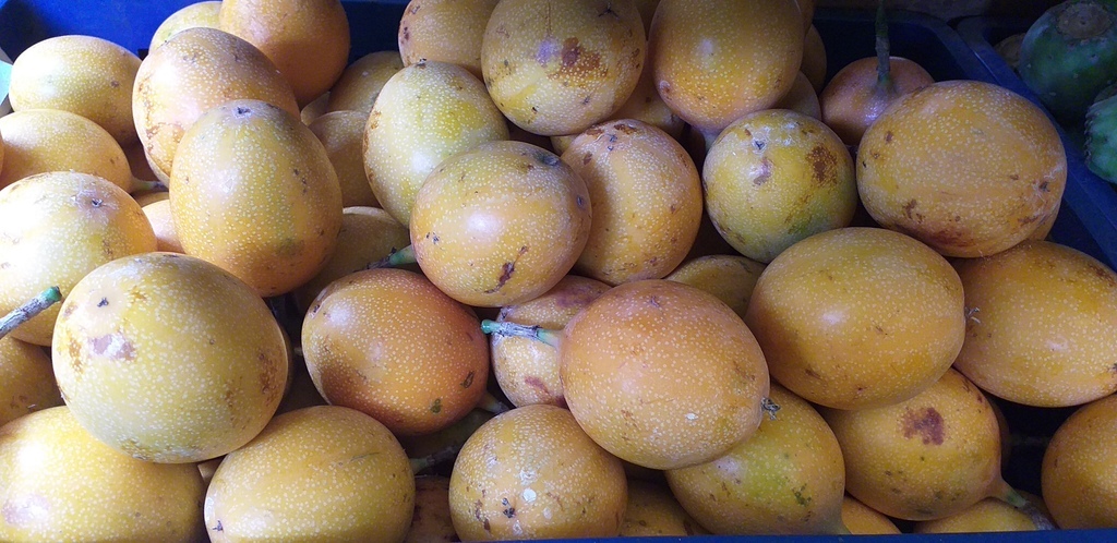 Granadilla *12 unid