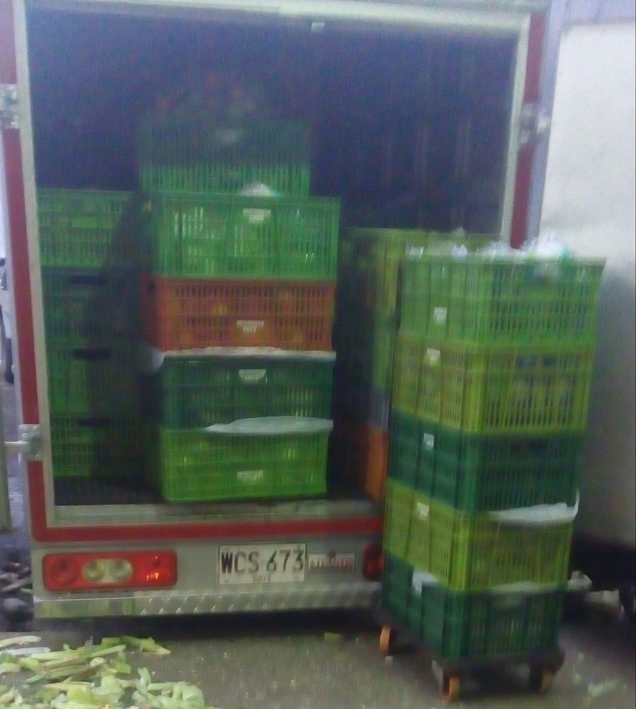 Manzana verde