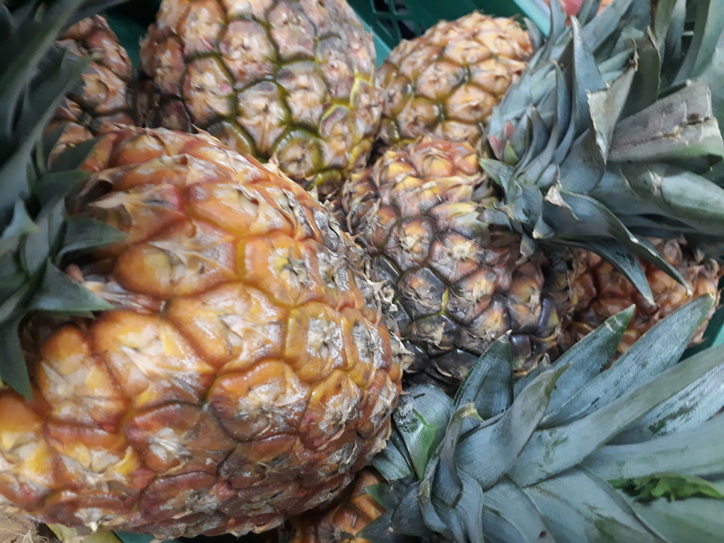 Piña