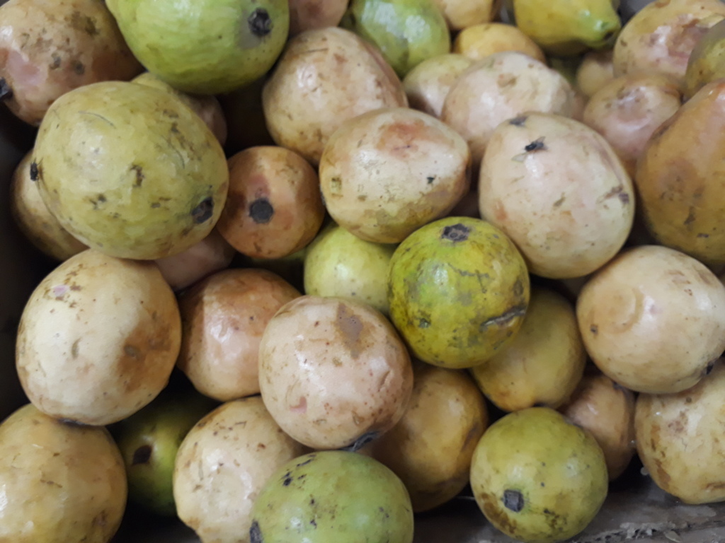 Guayaba dulce