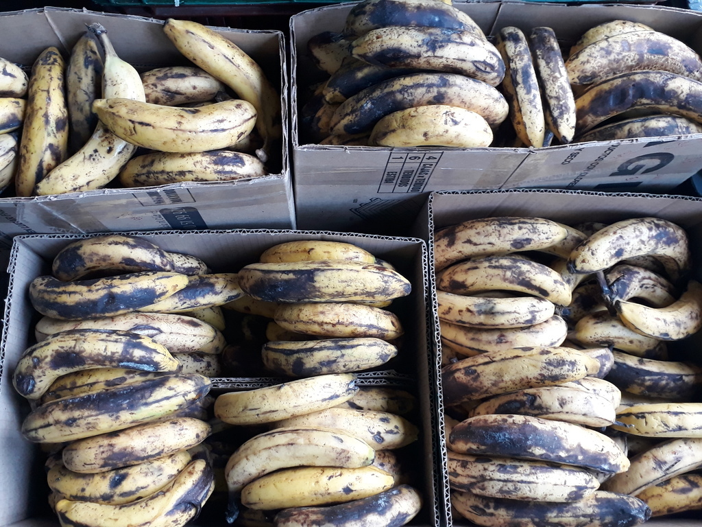 Banano verde
