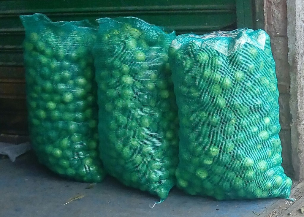 Limon