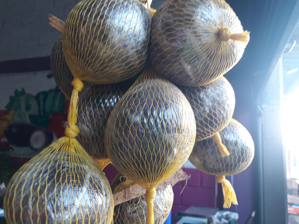 Borojo