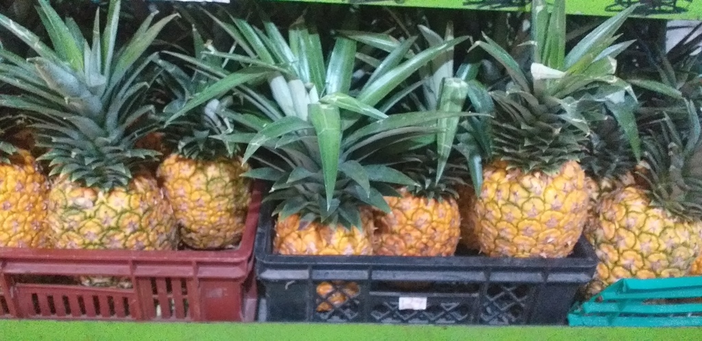Piña oromiel