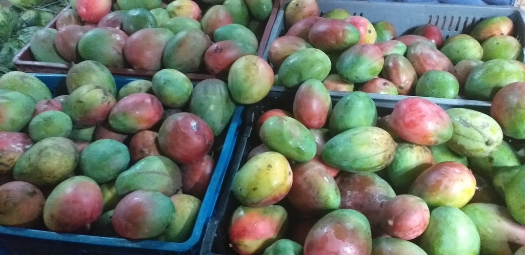 Mango farchi