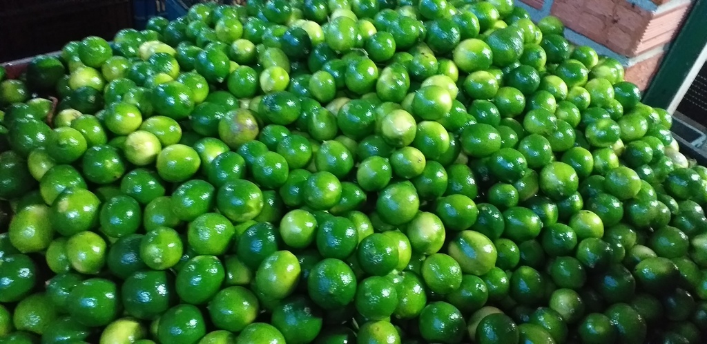 Limon tahiti
