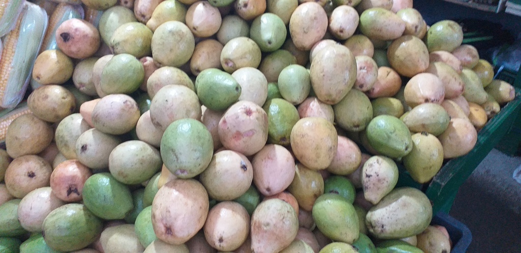 Guayaba pera