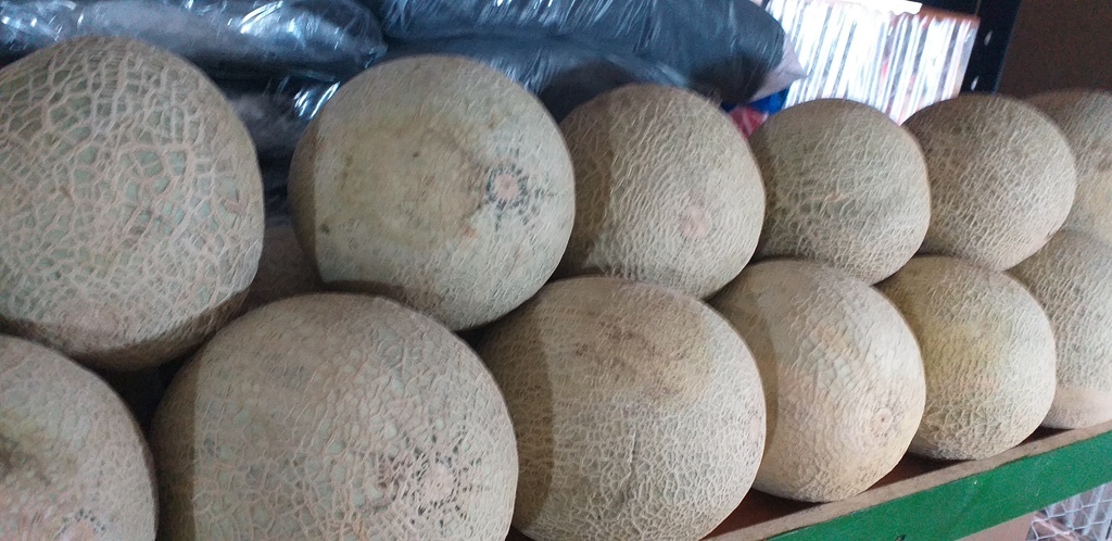 Melon