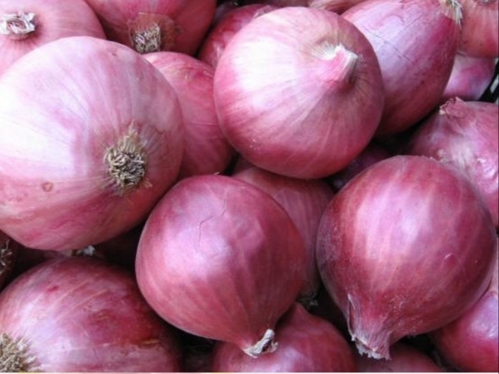 Cebolla roja importada