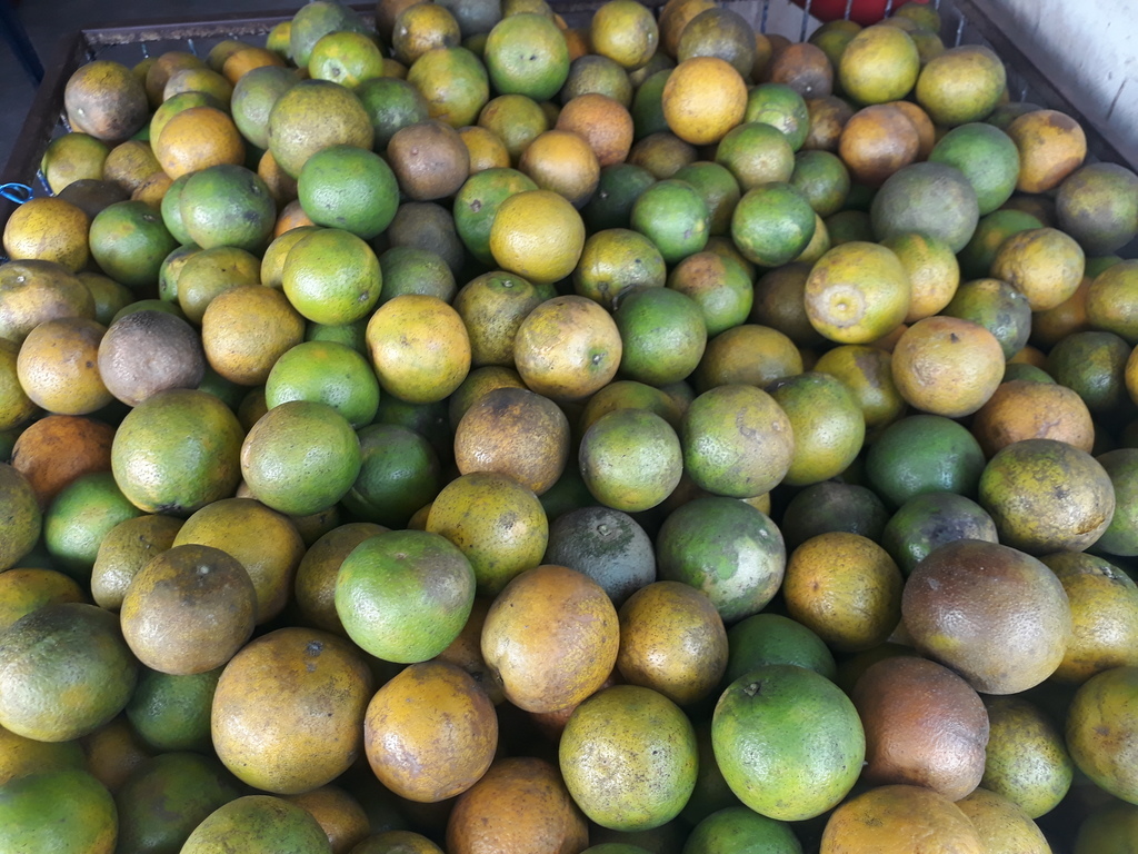 Naranja quindeana