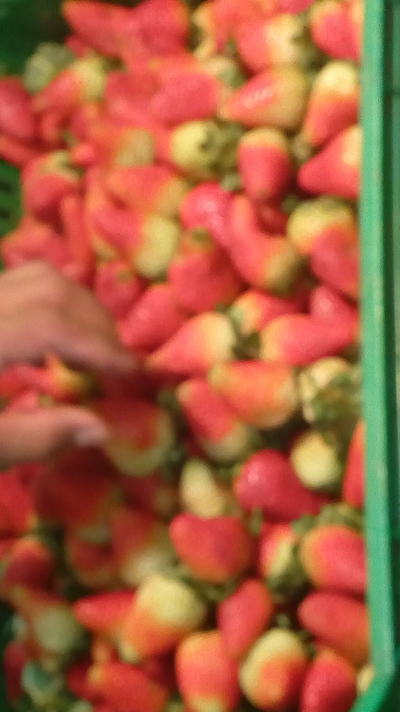 Fresas de 1ra