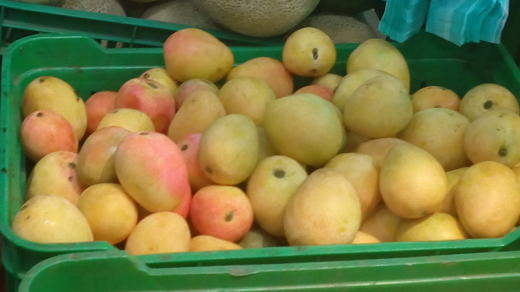 Mango de azucar