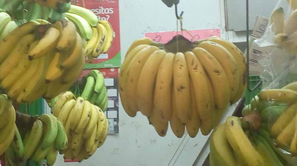 Banano