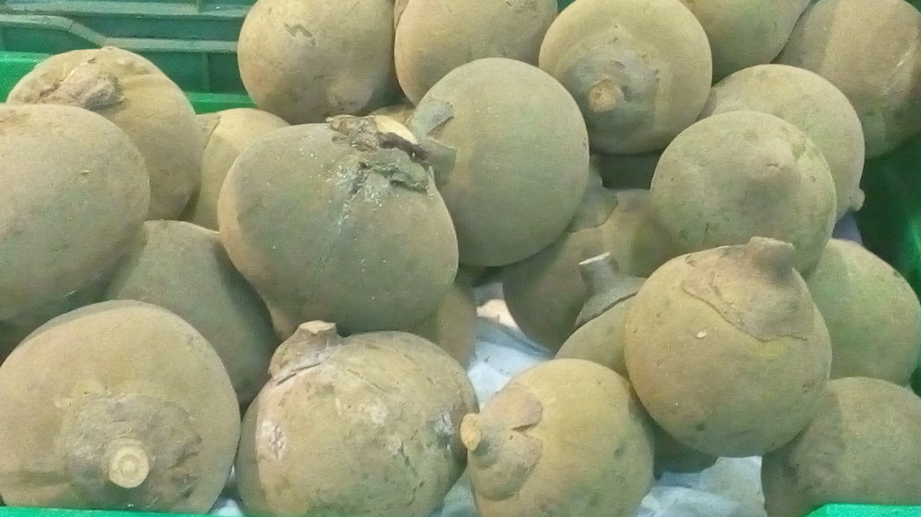 Sapote