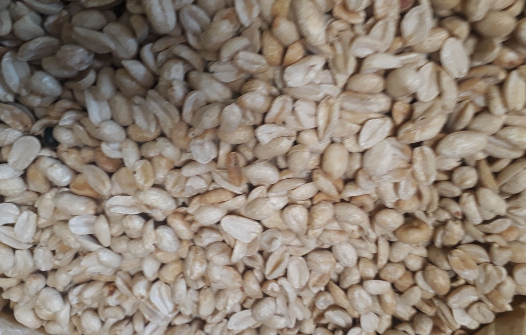 Frijol calima