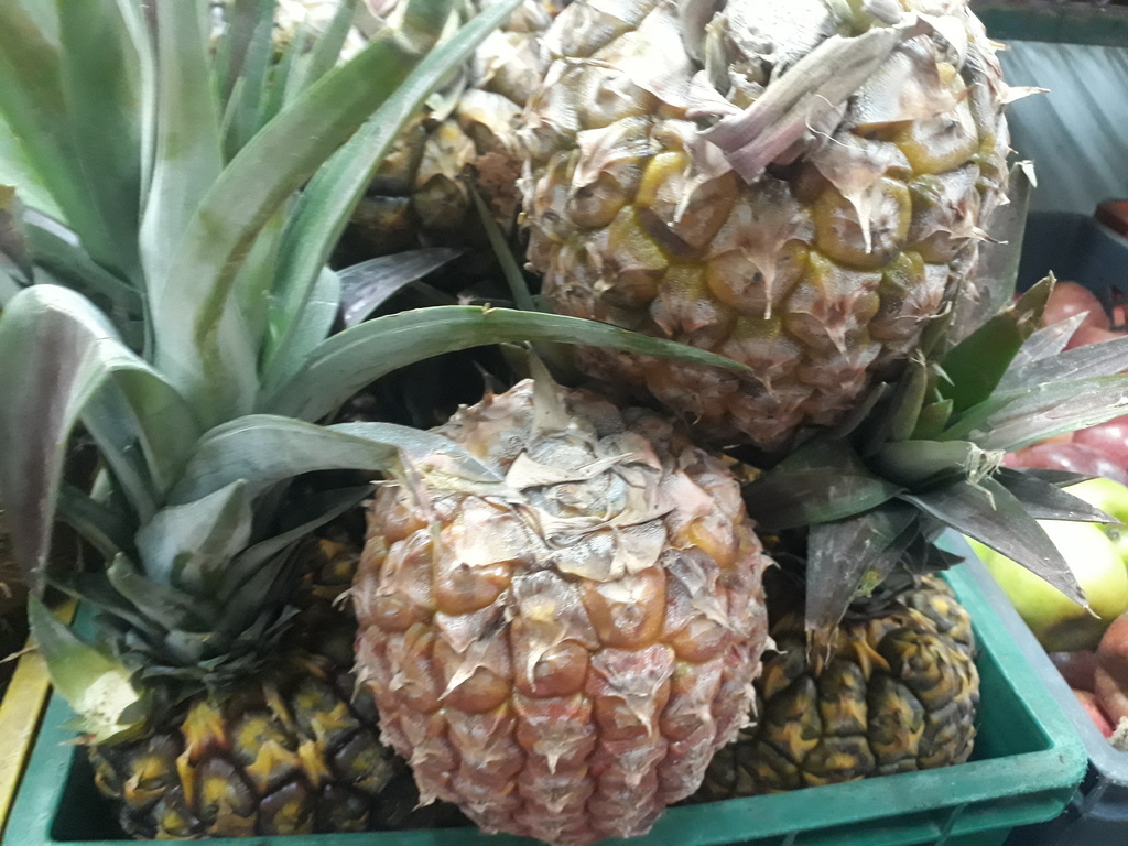 Piña