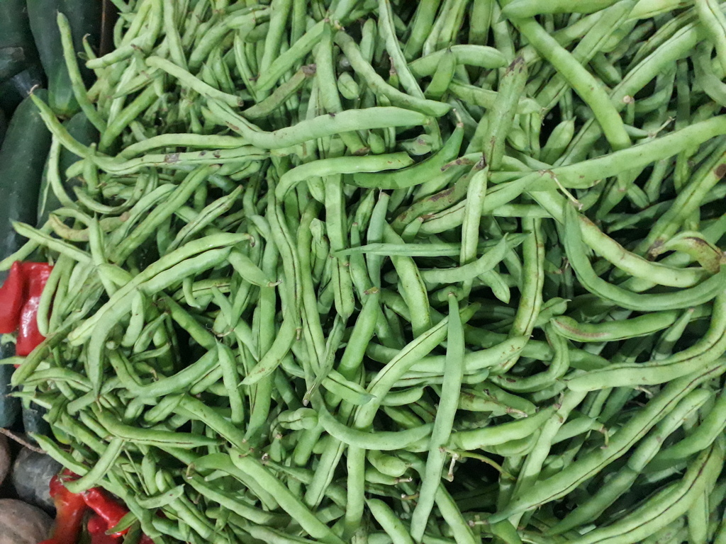 Habichuela