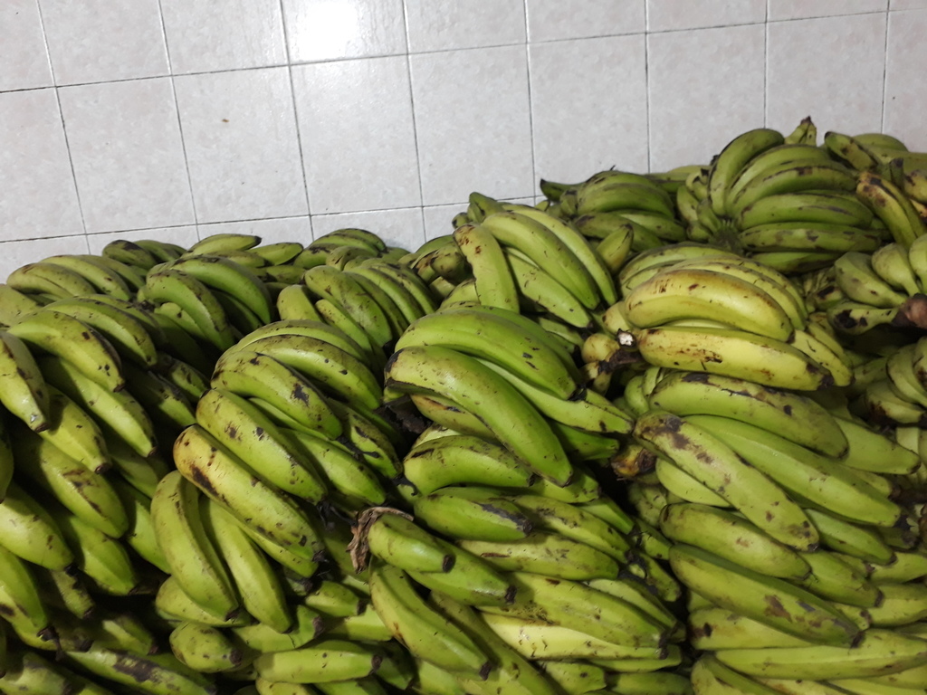 Banano verde