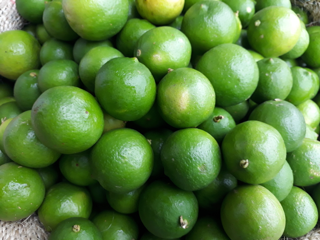 Queso costeño