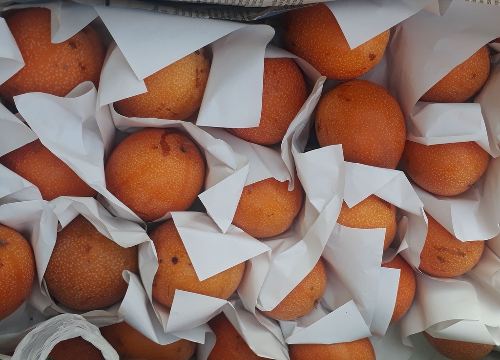 Granadilla