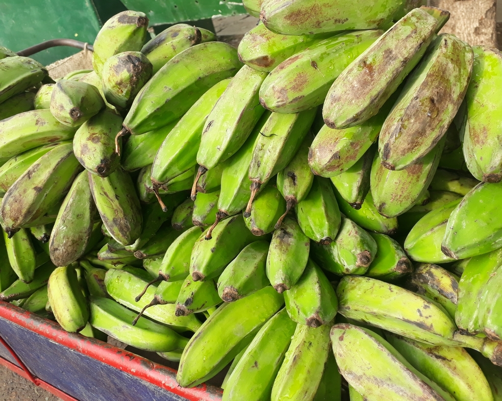 Mafufo