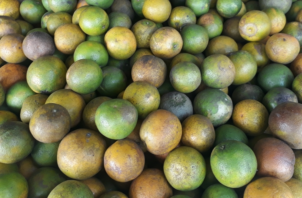 Naranja