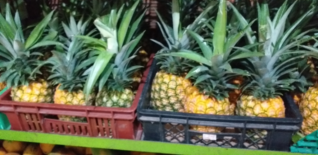 Piña oromiel