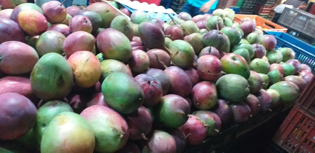 Mango farchi