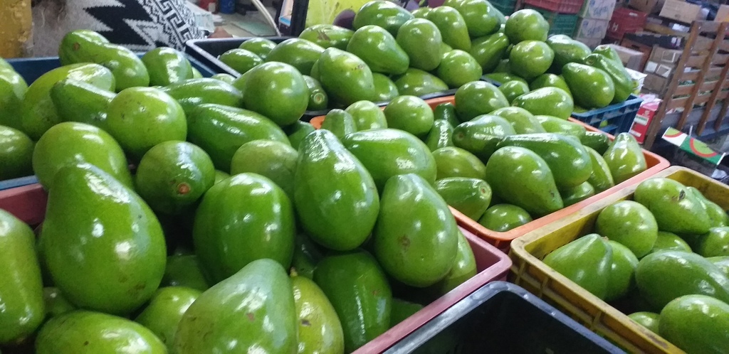 Aguacate papelillo