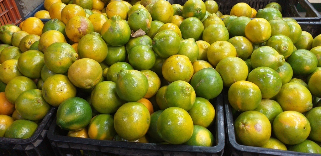 Naranja valencia