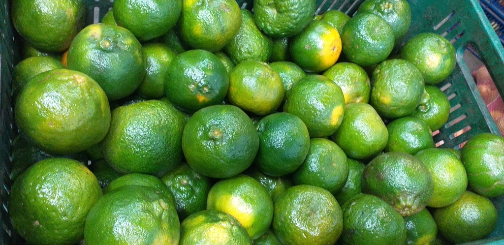 Mandarina oneca