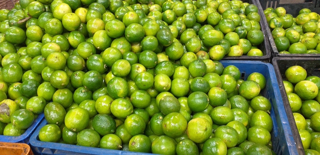 Limon tahiti