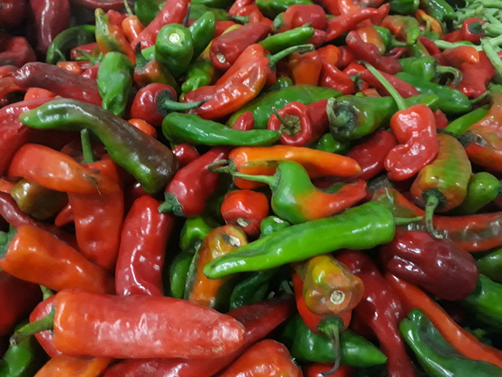 Cebolla blanca — foto 18 de 19