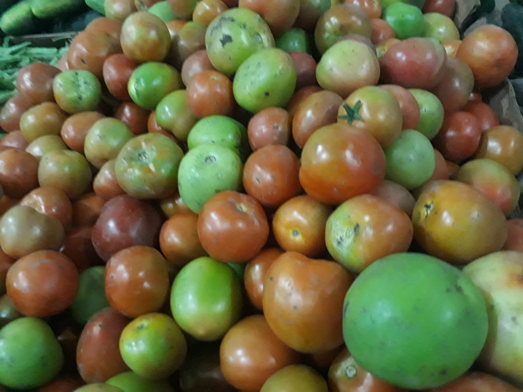 Cebolla blanca — foto 11 de 19