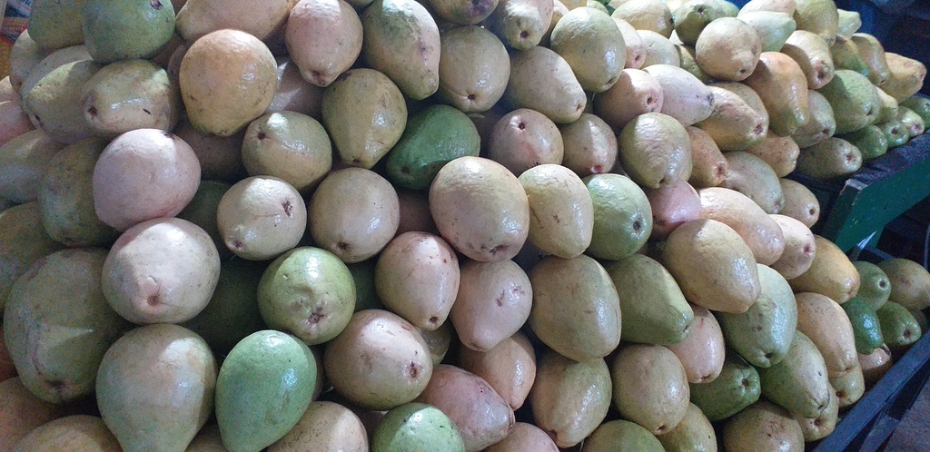 Guayaba pera