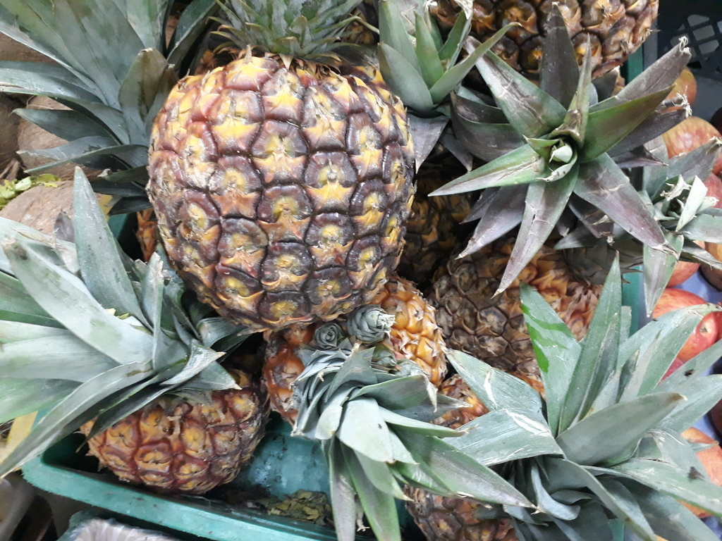 Piña