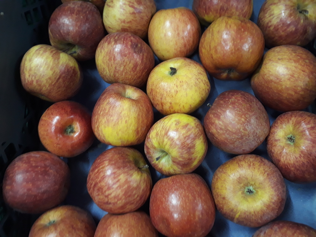 Manzana
