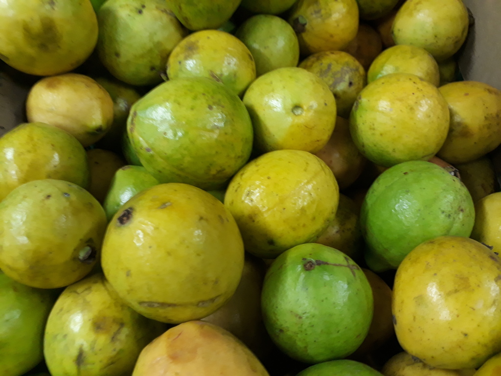 Guayaba dulce