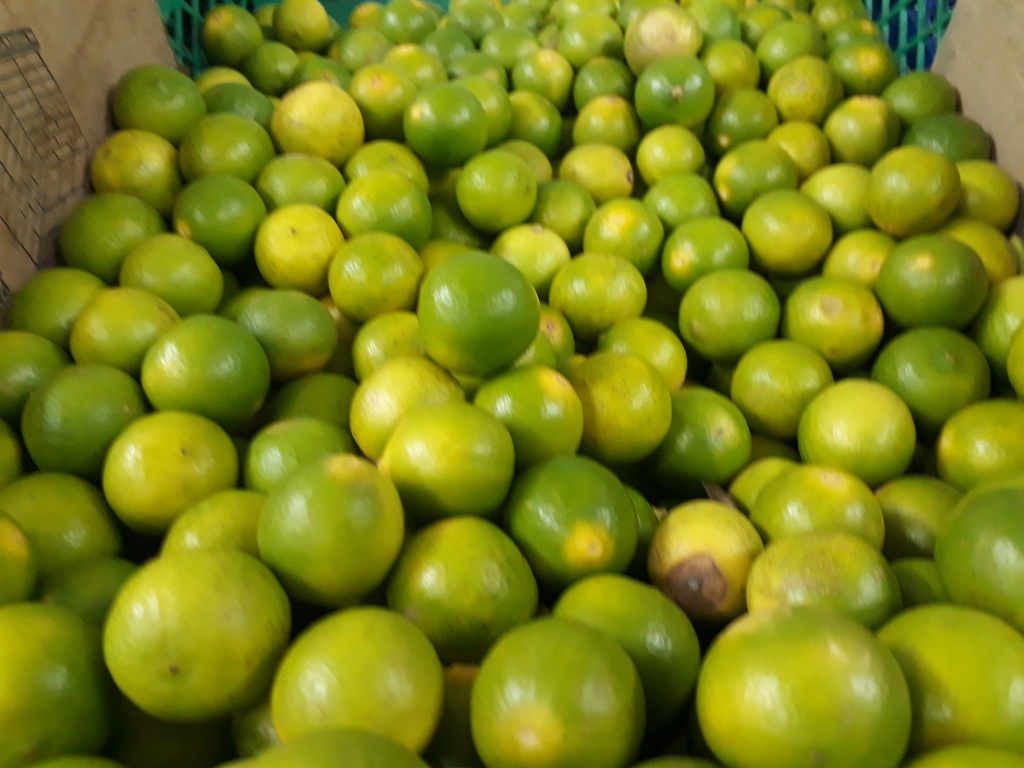 Limón