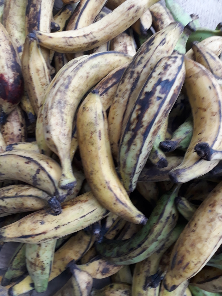 Platano maduro