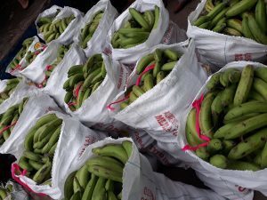 Banano verde